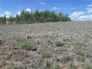 2376 Remington Road Como, CO 80432 - Photo 2 of 6 Gallery Image 2