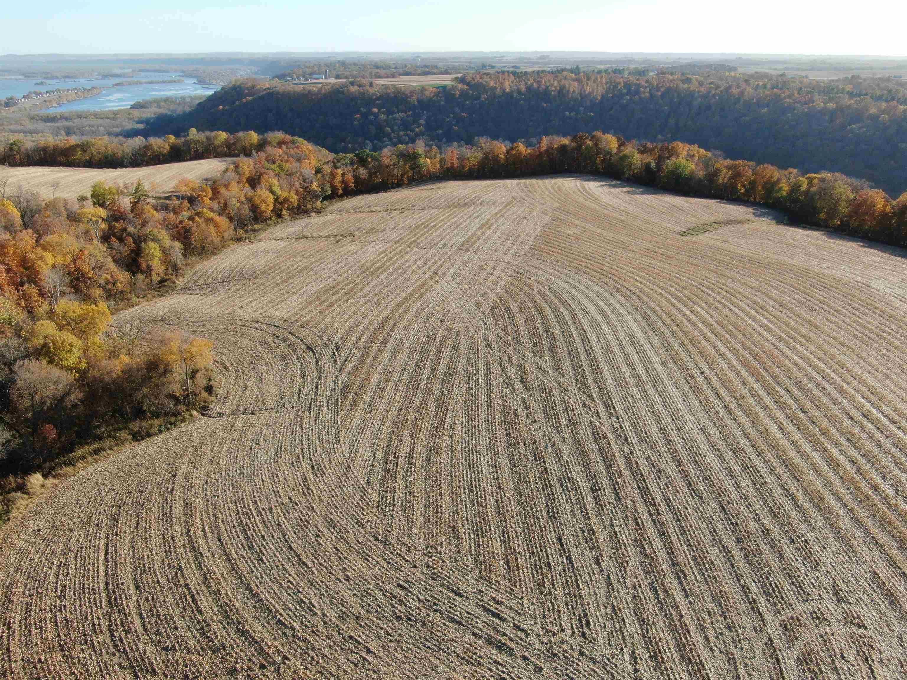 0 Great River Road Guttenberg, IA 52052 - Photo 4 of 6 Gallery Image 4