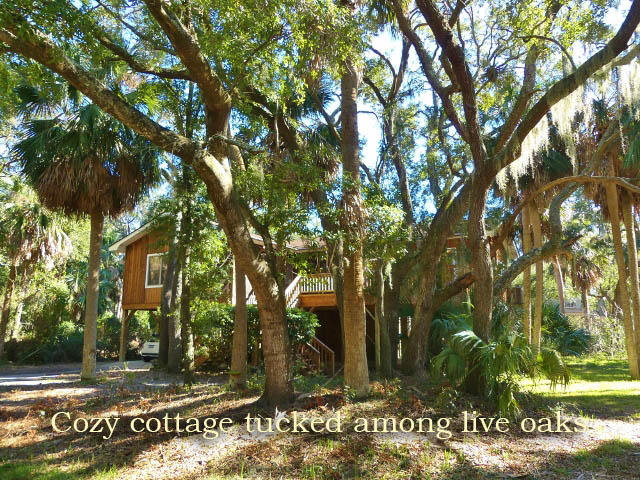 311 Jungle Road Edisto Island, SC 29438 - Photo 1 of 65 1a