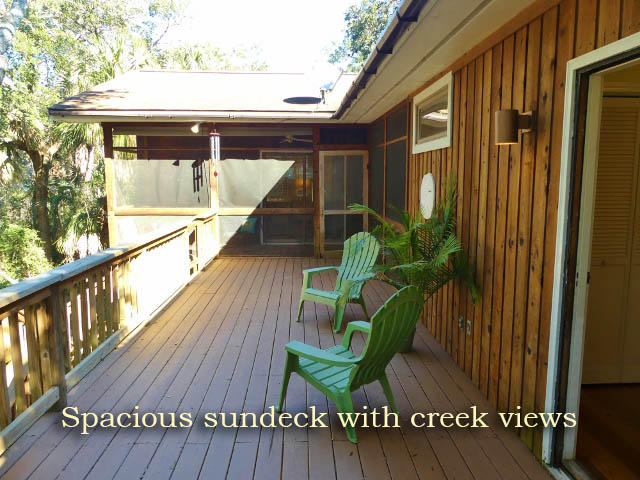 311 Jungle Road Edisto Island, SC 29438 - Photo 2 of 65 1aa