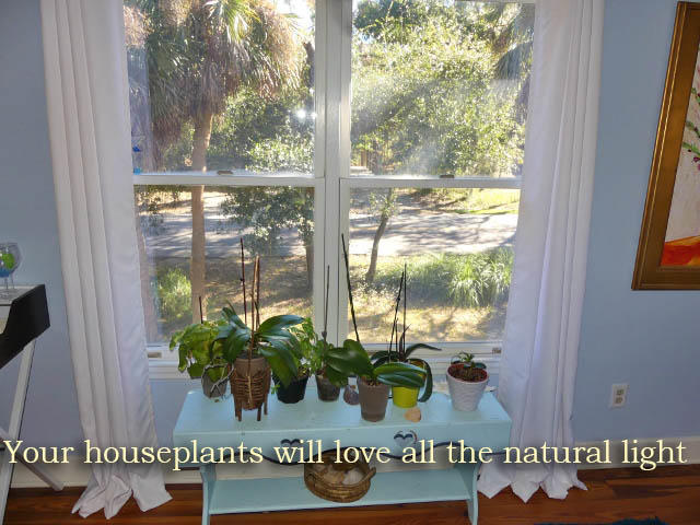 311 Jungle Road Edisto Island, SC 29438 - Photo 30 of 65 26