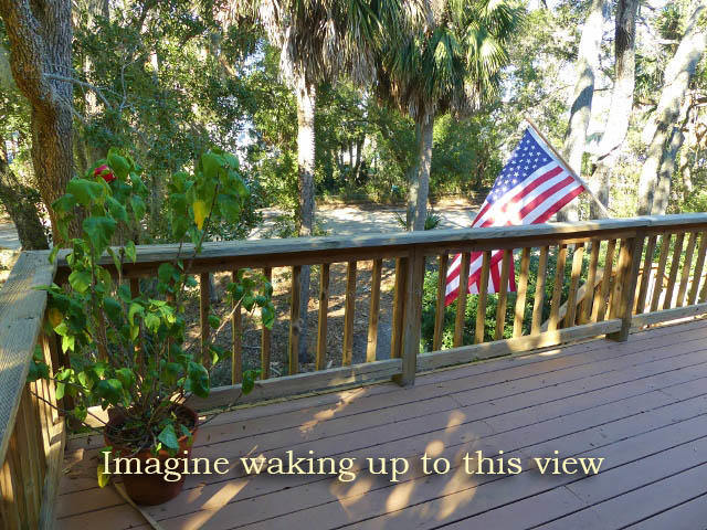 311 Jungle Road Edisto Island, SC 29438 - Photo 40 of 65 36