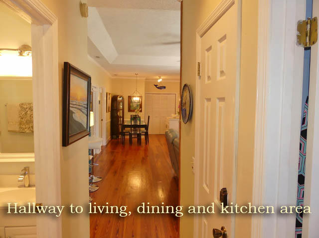311 Jungle Road Edisto Island, SC 29438 - Photo 43 of 65 38
