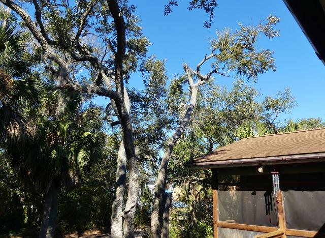 311 Jungle Road Edisto Island, SC 29438 - Photo 49 of 65 44