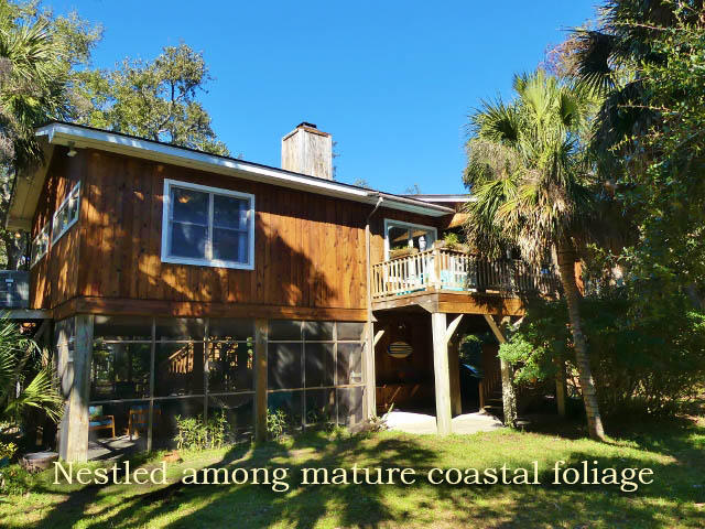 311 Jungle Road Edisto Island, SC 29438 - Photo 50 of 65 44a