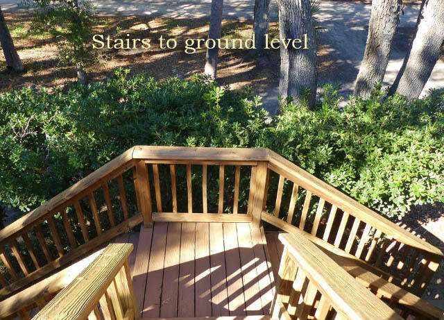311 Jungle Road Edisto Island, SC 29438 - Photo 51 of 65 46a