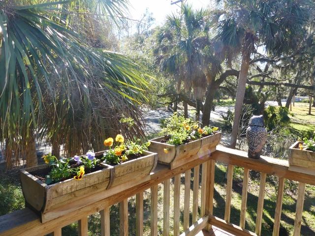 311 Jungle Road Edisto Island, SC 29438 - Photo 7 of 65 5a