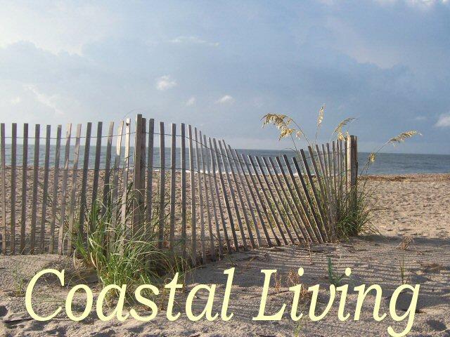 311 Jungle Road Edisto Island, SC 29438 - Photo 62 of 65 58
