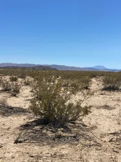 $53,000 | 66055 Mars Drive, Joshua Tree, CA 92252