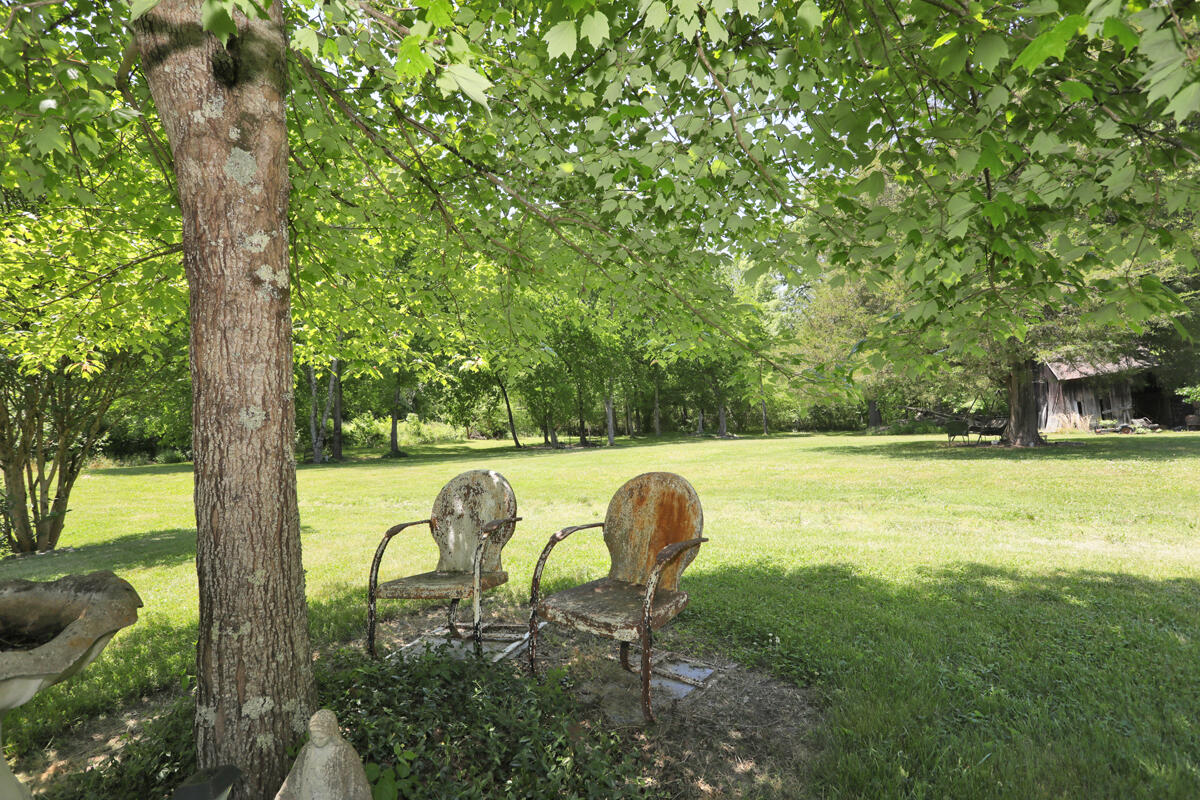 4467 Blythes Ferry Road Dayton, TN 37321 - Photo 50 of 56 Have a sit under the shade trees