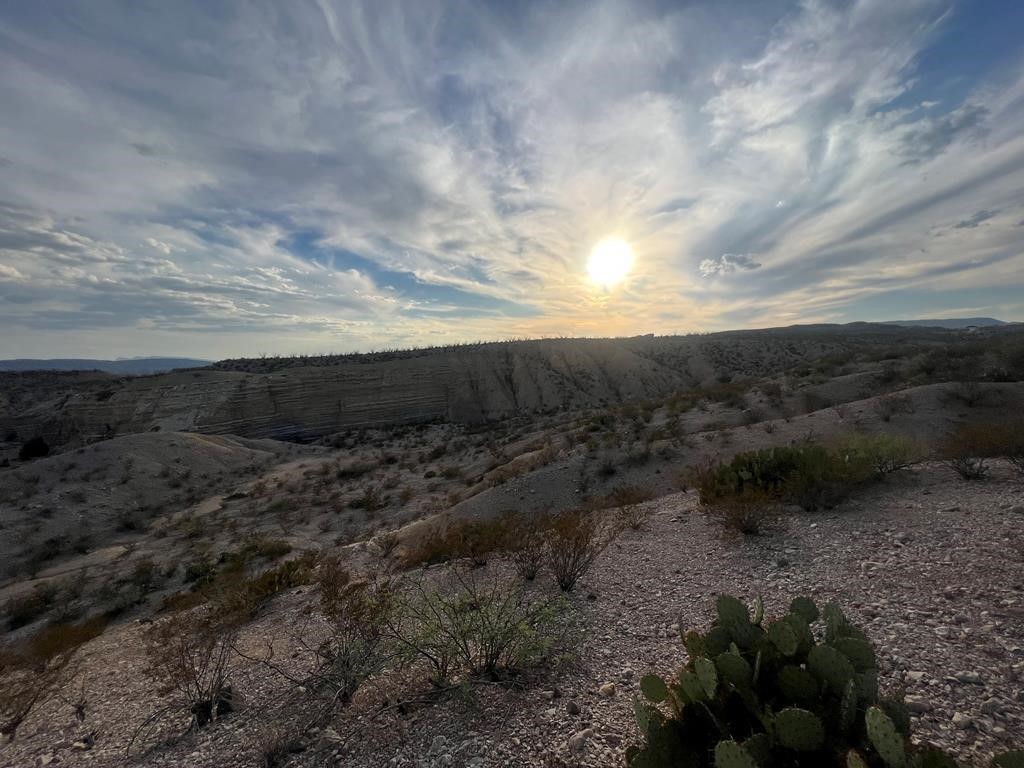 0 Herradura Road Terlingua, TX 79852 - Photo 14 of 20 a view of a dry yard with trees