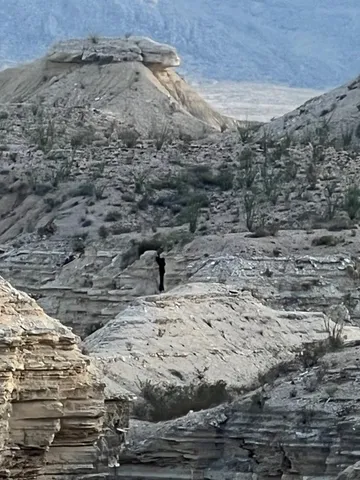 a large building with a yard