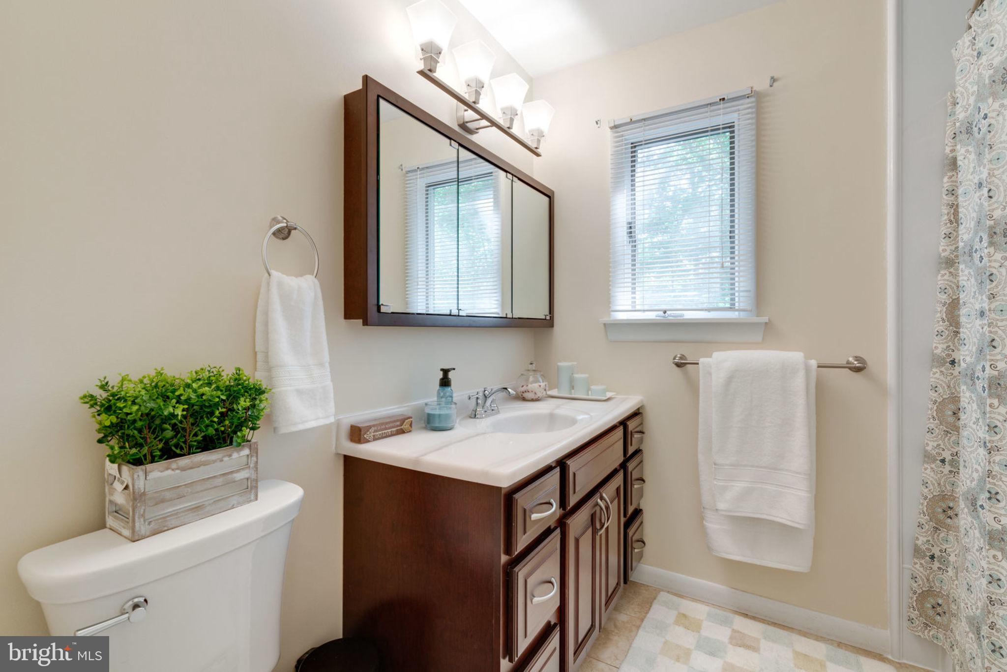 8504 Shadeway Place Springfield, VA 22153 - Photo 17 of 31 Master Bathroom