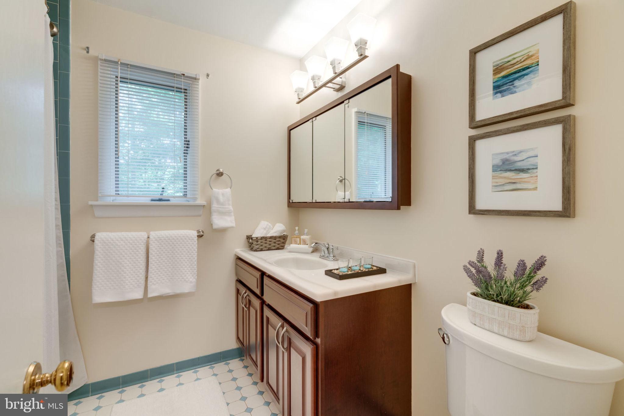 8504 Shadeway Place Springfield, VA 22153 - Photo 20 of 31 Hall Bathroom