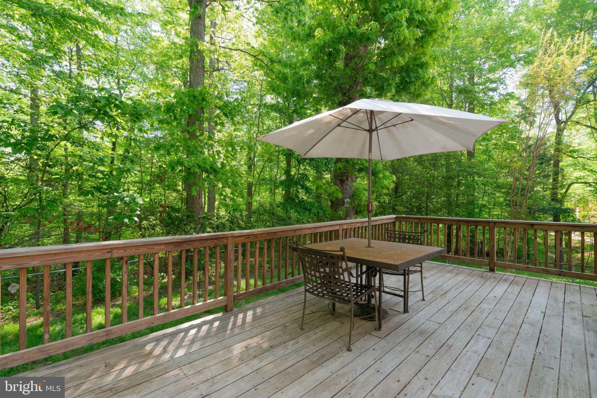 8504 Shadeway Place Springfield, VA 22153 - Photo 25 of 31 Enjoy the quiet surroundings on the back deck.