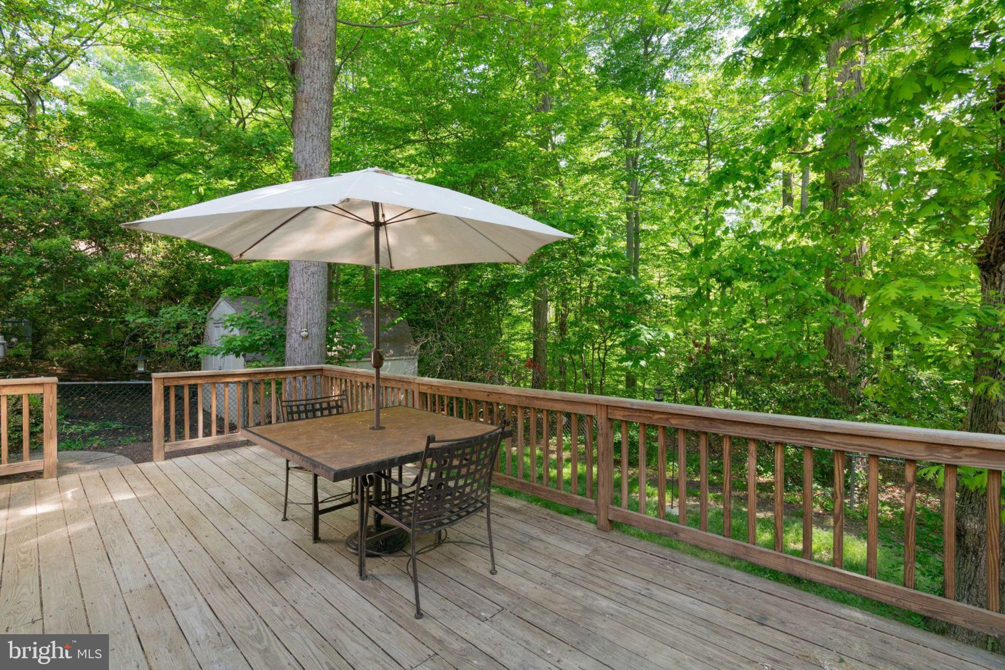 8504 Shadeway Place Springfield, VA 22153 - Photo 27 of 31 Soooo much privacy!
