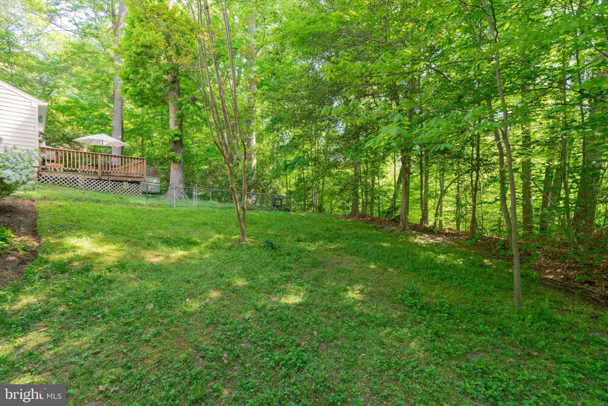 8504 Shadeway Place Springfield, VA 22153 - Photo 29 of 31 If you are really quiet, you might hear the creek!