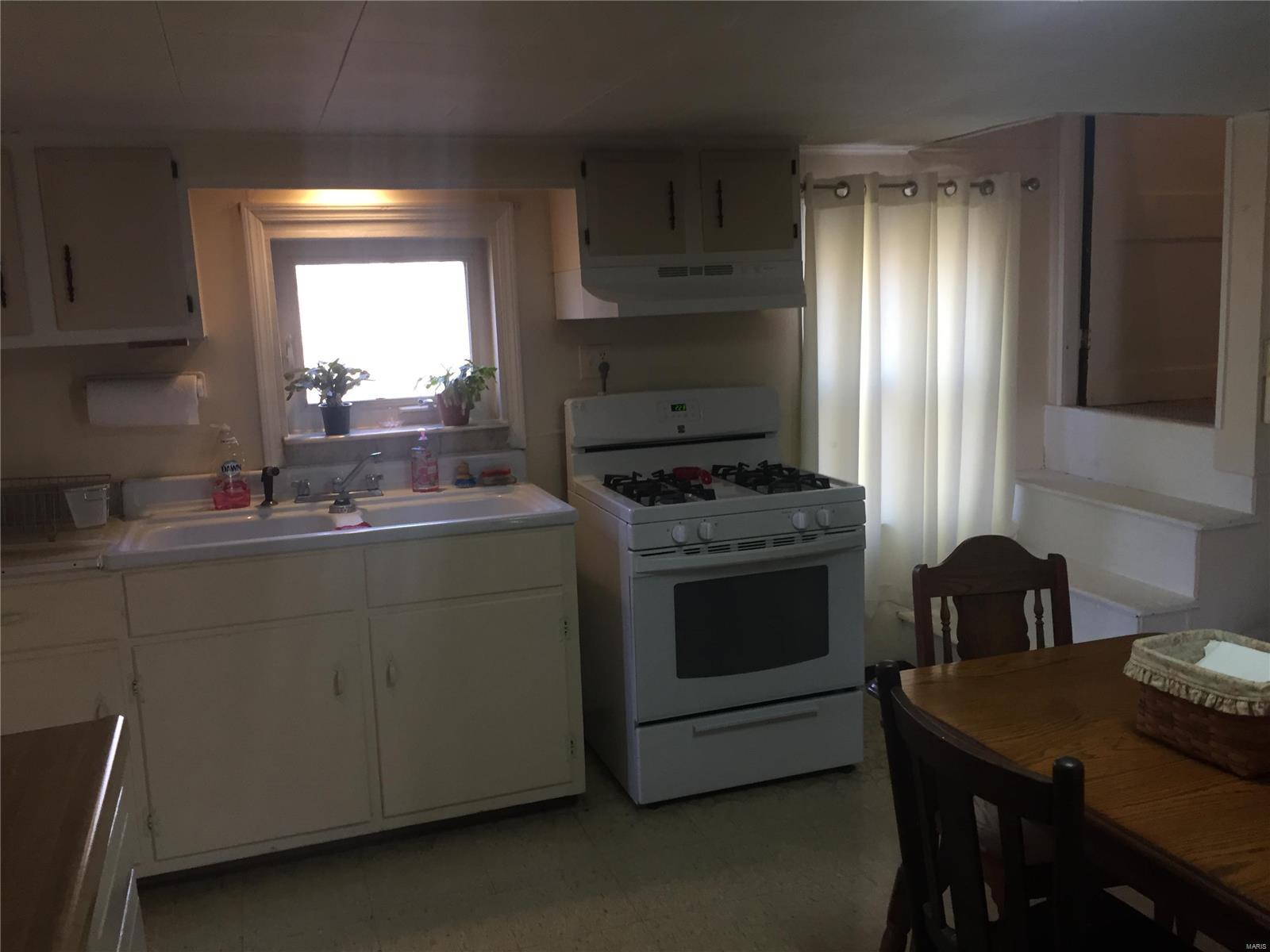 1948 Springvale Road Rockwood, IL 62280 - Photo 10 of 22
