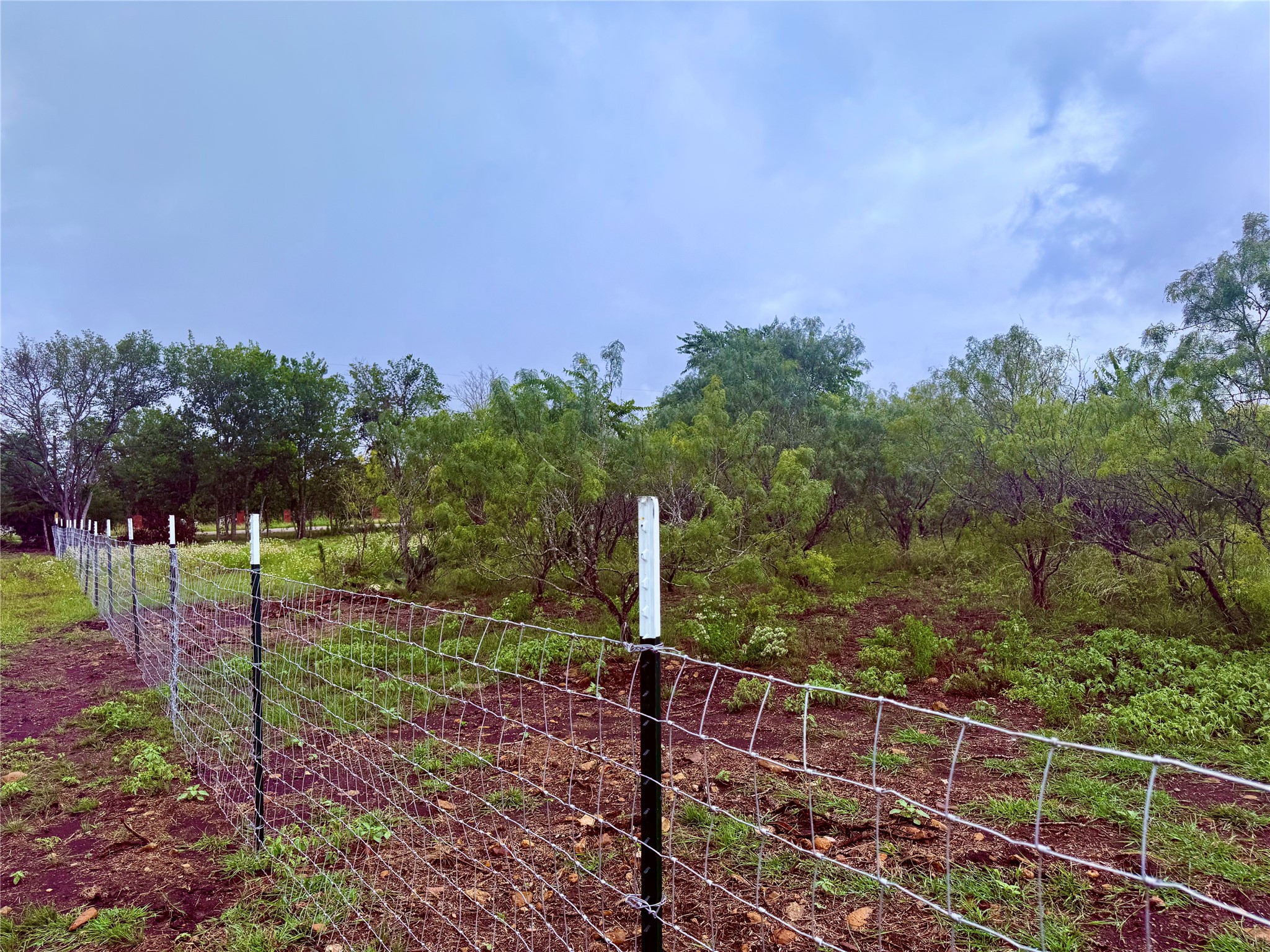0 Engelke Road Kyle, TX 78640 - Photo 15 of 16 A well-maintained wire fence defines the property line of this verdant, undeveloped lot.