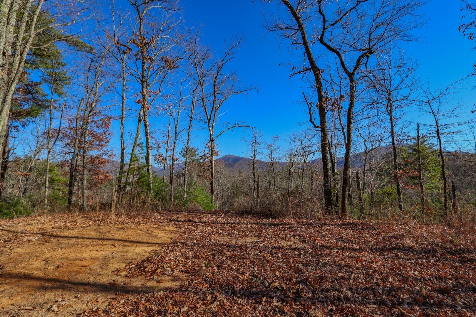 1301 Ridge Hollow Road, Unit 2 Del Rio, TN 37727 - Photo 1 of 26 1