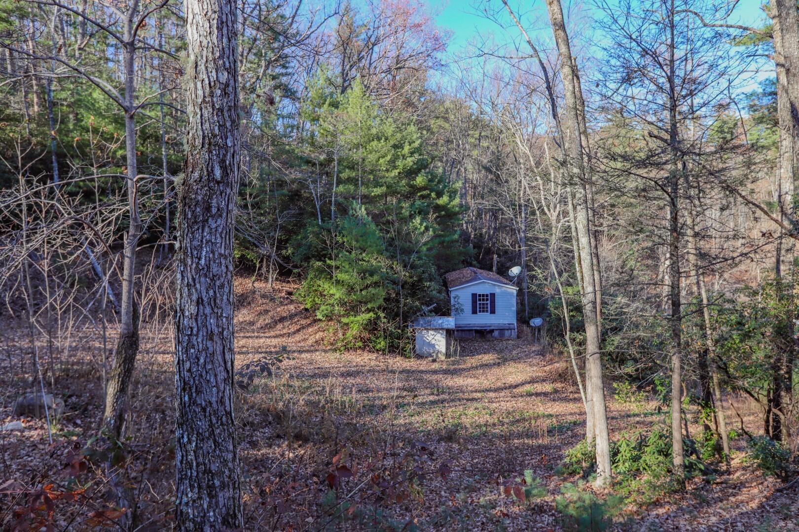 1301 Ridge Hollow Road, Unit 2 Del Rio, TN 37727 - Photo 12 of 26 9