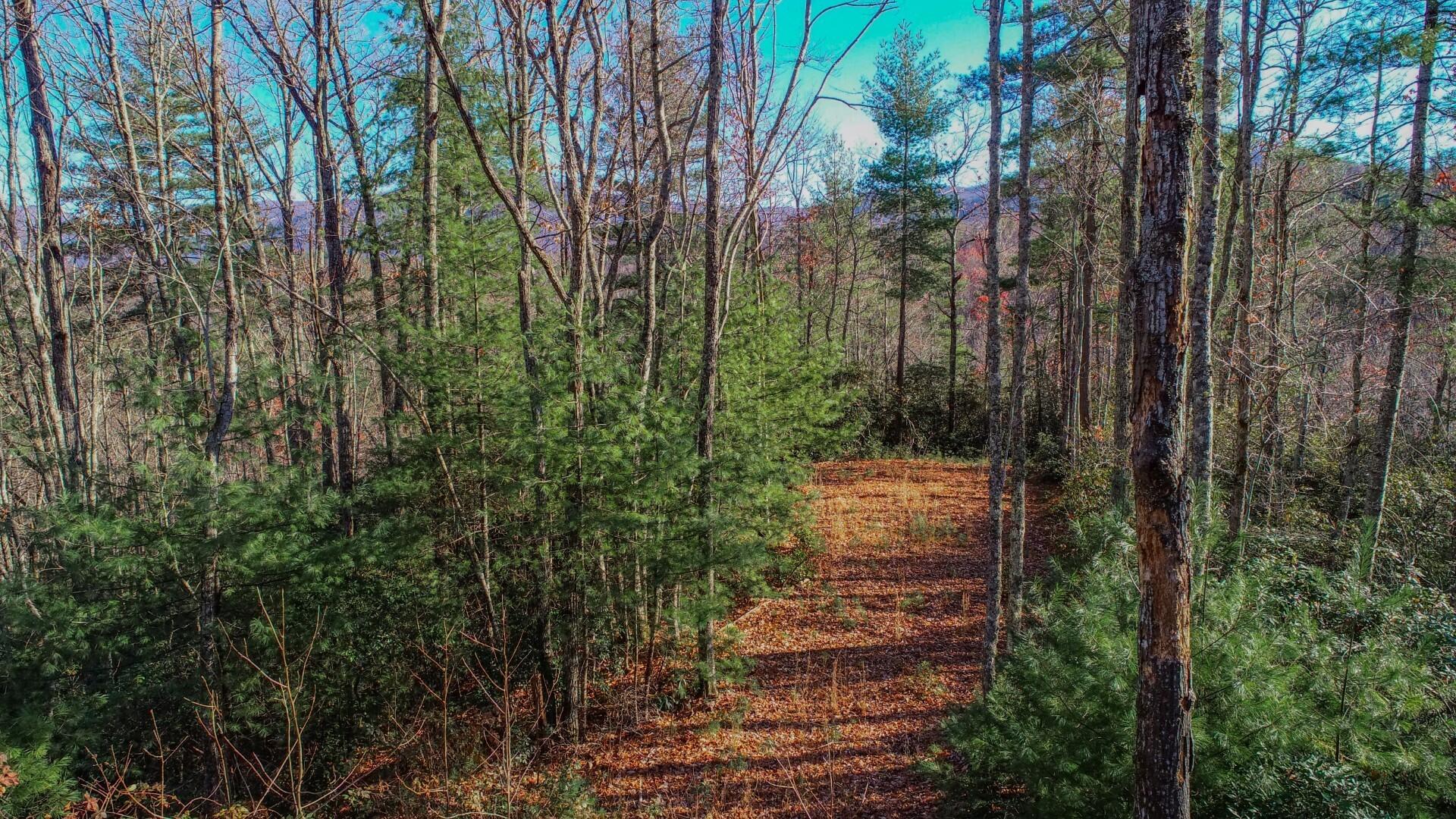 1301 Ridge Hollow Road, Unit 2 Del Rio, TN 37727 - Photo 23 of 26 20