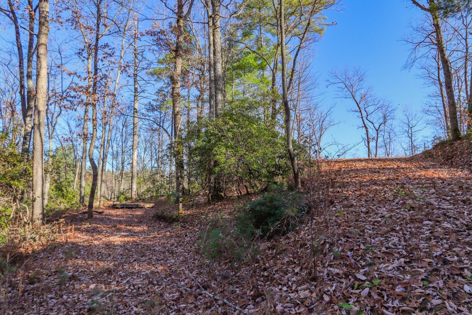 1301 Ridge Hollow Road, Unit 2 Del Rio, TN 37727 - Photo 24 of 26 21