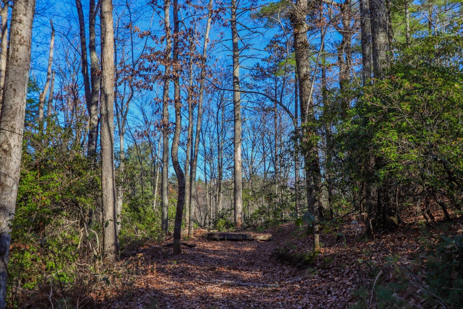 1301 Ridge Hollow Road, Unit 2 Del Rio, TN 37727 - Photo 25 of 26 22