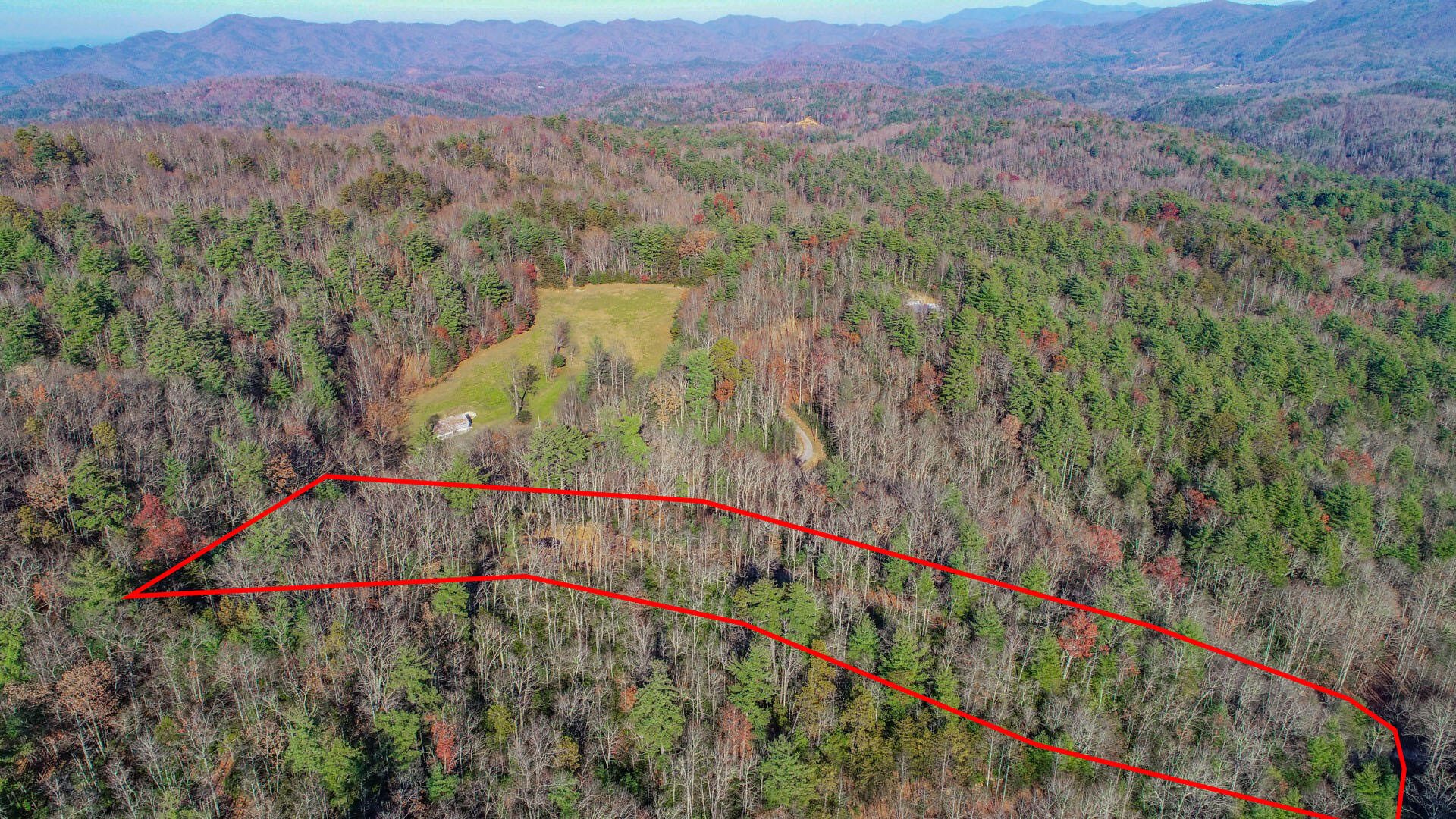 1301 Ridge Hollow Road, Unit 2 Del Rio, TN 37727 - Photo 4 of 26 4