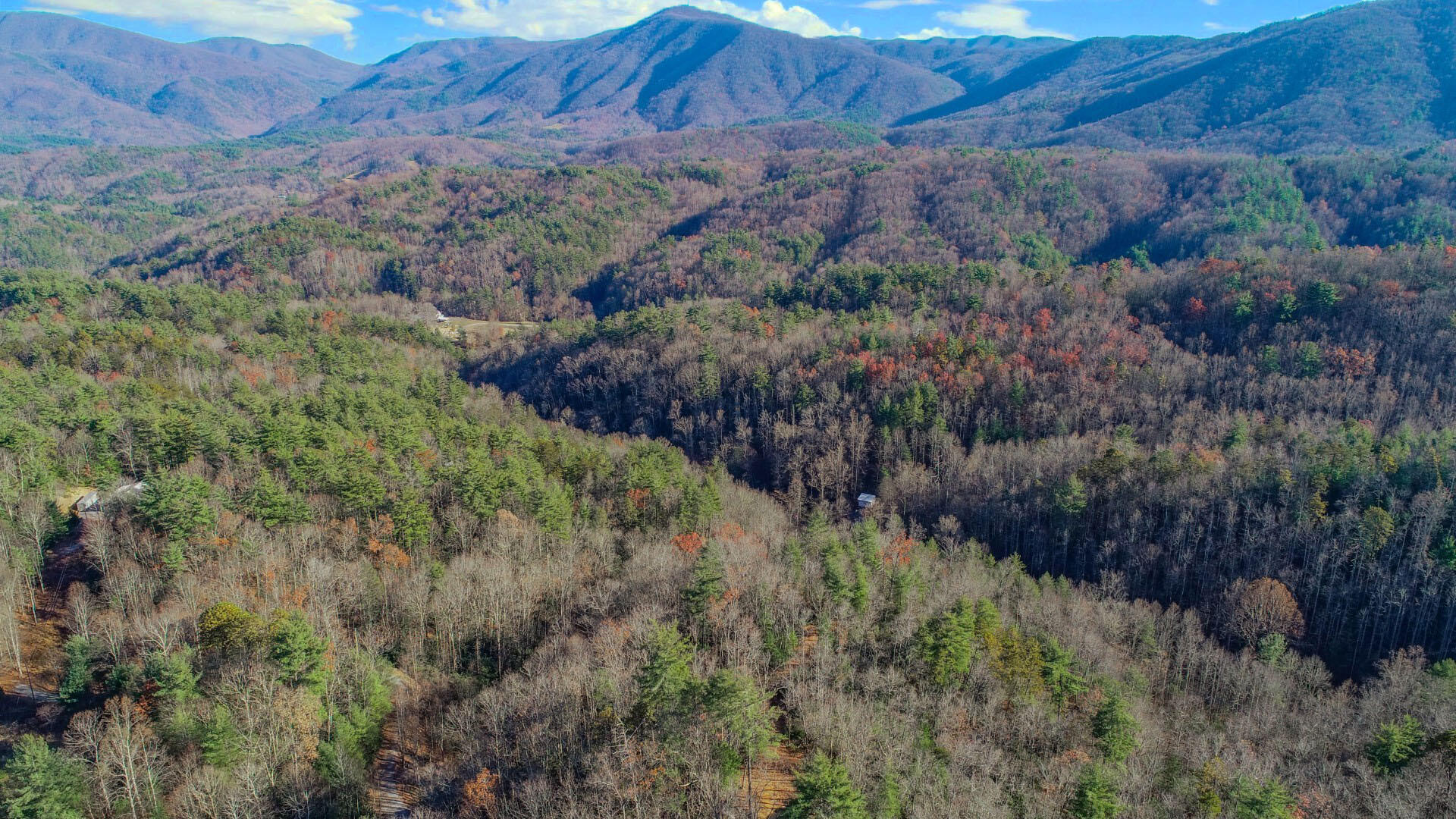 1301 Ridge Hollow Road, Unit 2 Del Rio, TN 37727 - Photo 10 of 26 8.7ps