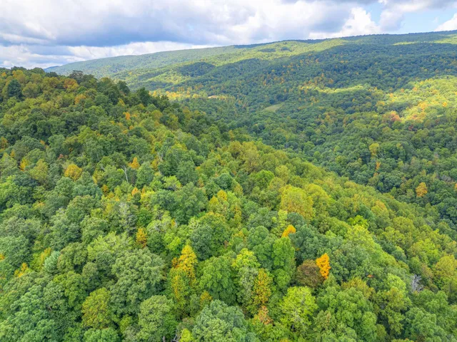 $1,050,000 | 1782 Wolf Creek Highway, Narrows, VA 24124