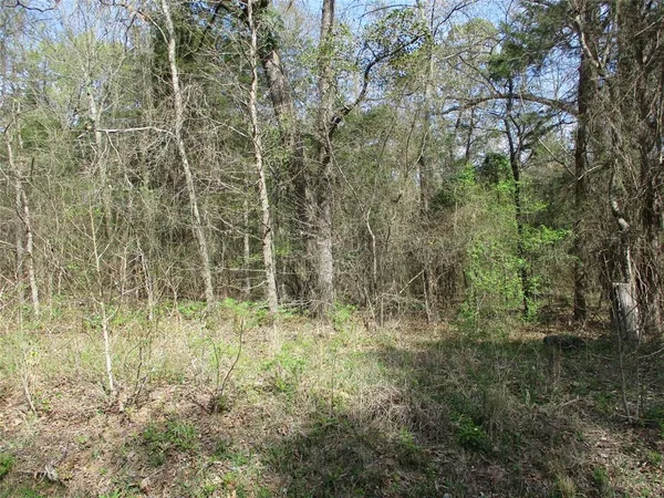 a view of small yard