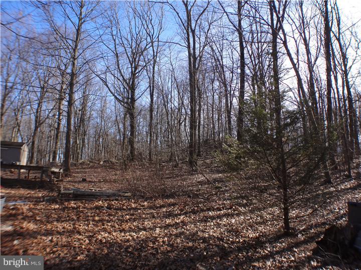 111 Benfield Road Macungie, PA 18062 - Photo 22 of 25 Gallery Image 22