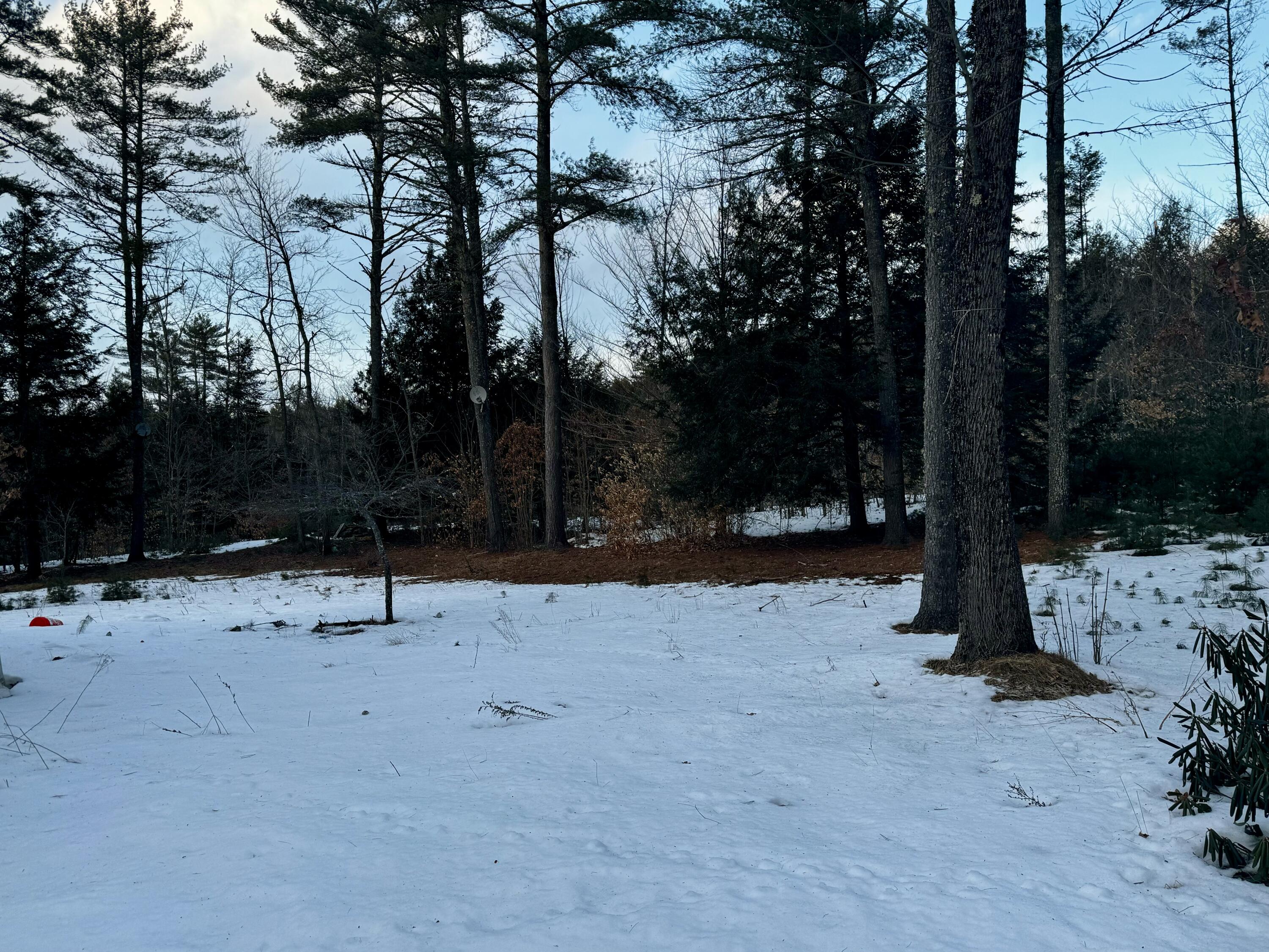 466 Lewis Road Harrison, ME 04040 - Photo 18 of 20 IMG_0283