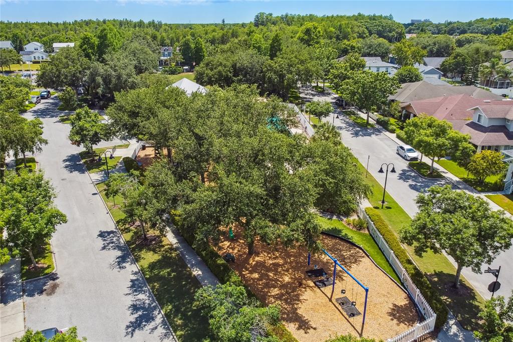 10207 Porch Street New Port Richey, FL 34655 - Photo 57 of 58