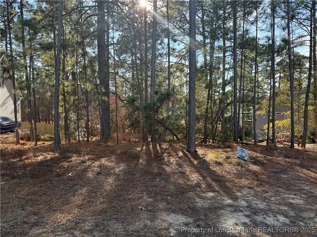 a view of a forest with trees