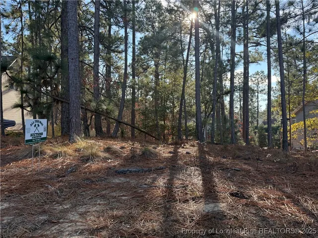 a view of a forest with trees