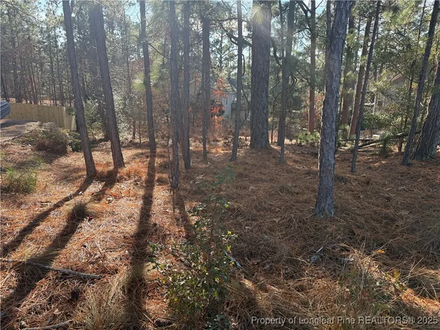 a view of a forest with trees in the background