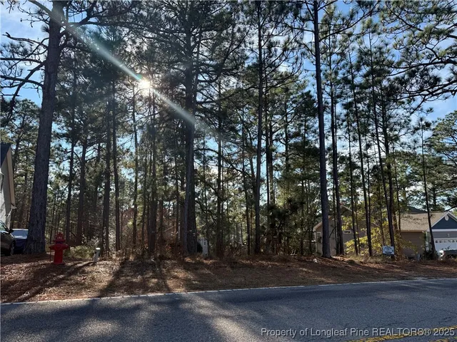a view of a street with a tree