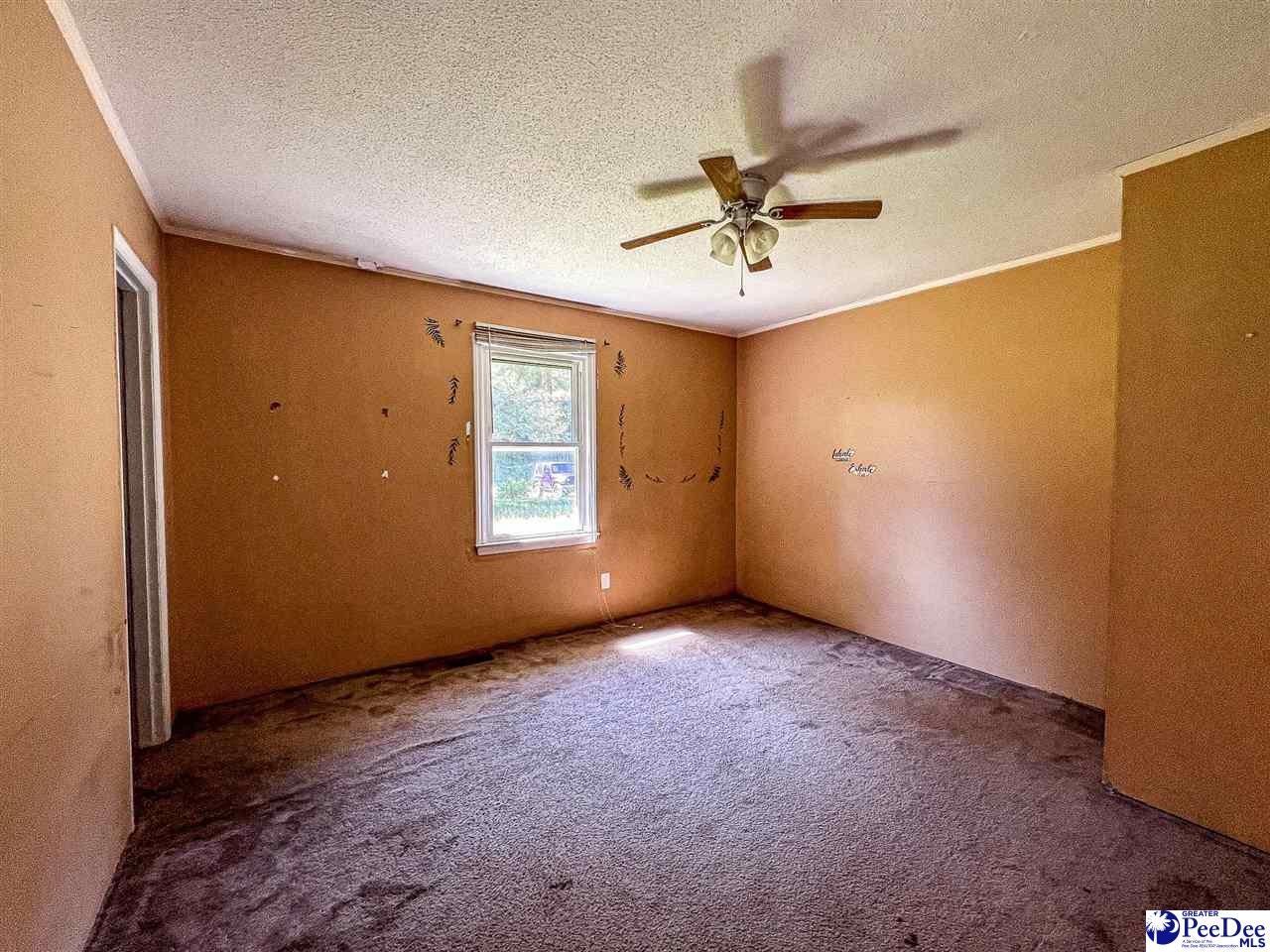 2398 State Rd S-14-28 Alcolu, SC 29001 - Photo 27 of 51 Gallery Image 27