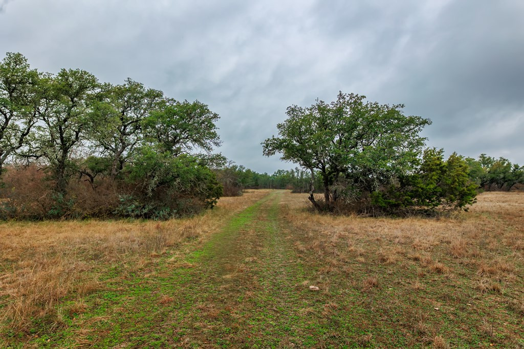 1755 County Road Brady, TX 76825 - Photo 16 of 28 Photo 16