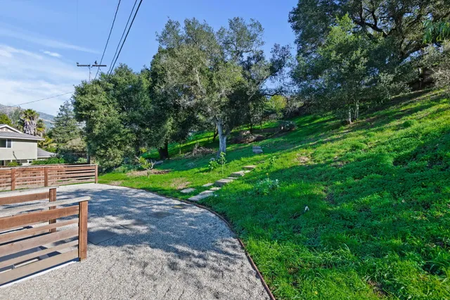 a view of a park with large trees