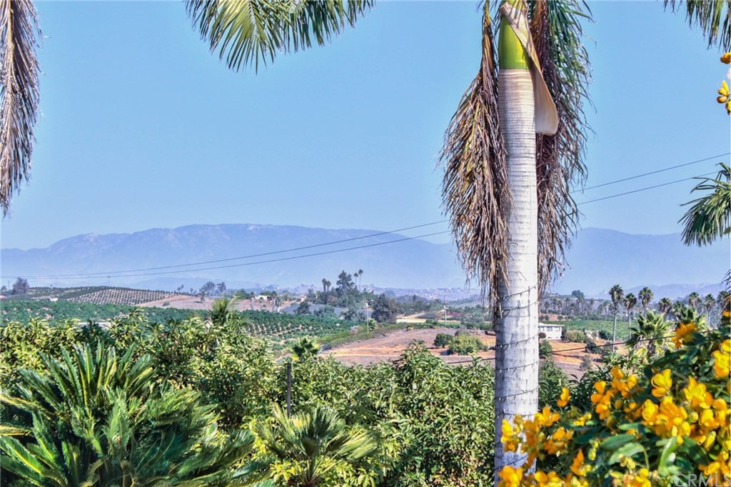 31660 Mountain Way Bonsall, CA 92003 - Photo 72 of 72