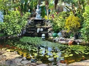 a garden with lots of trees