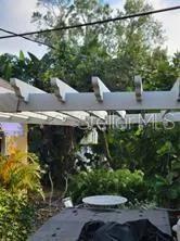 a view of a garden with plants