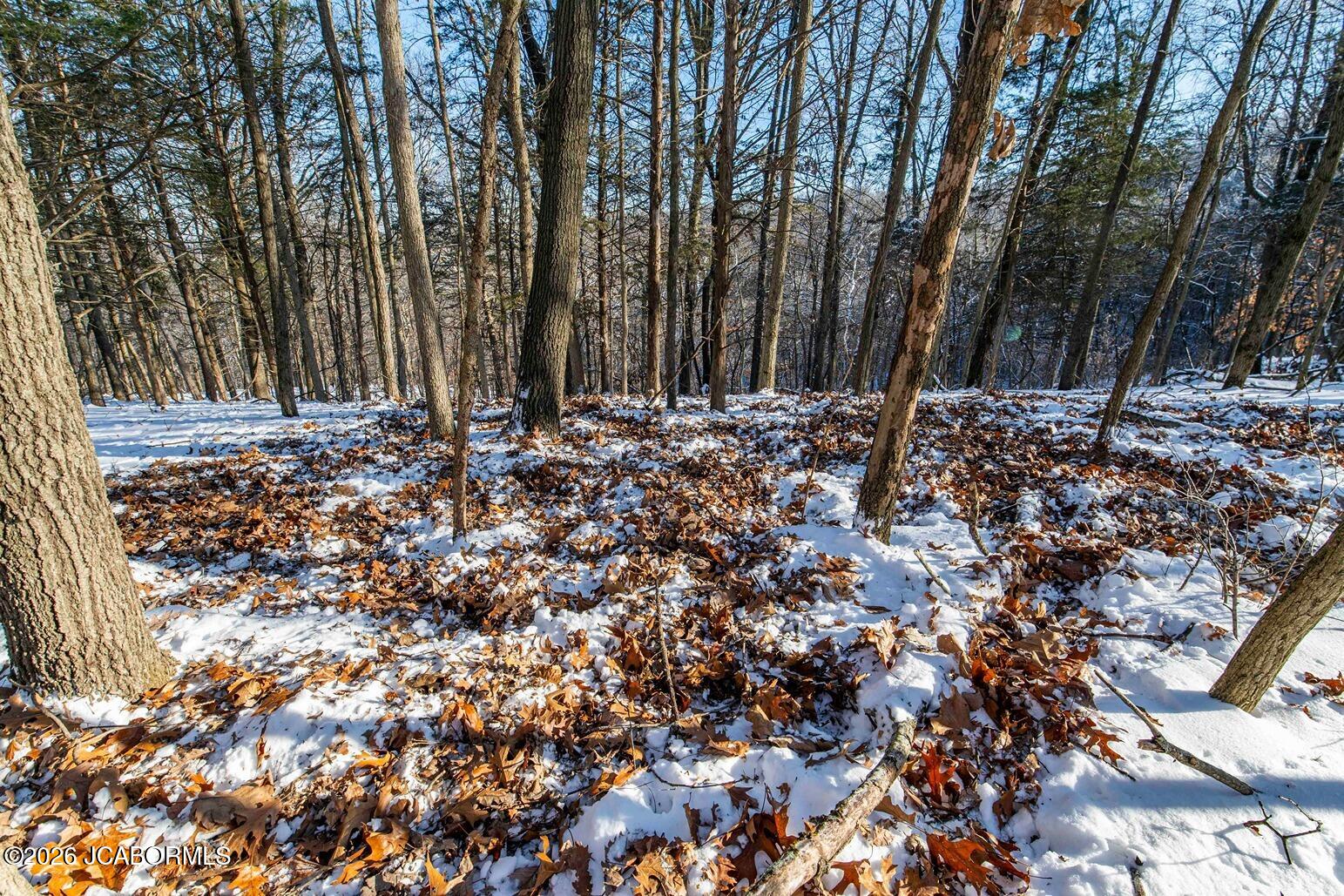 Tbd Talley Road Hartsburg, MO 65039 - Photo 27 of 106