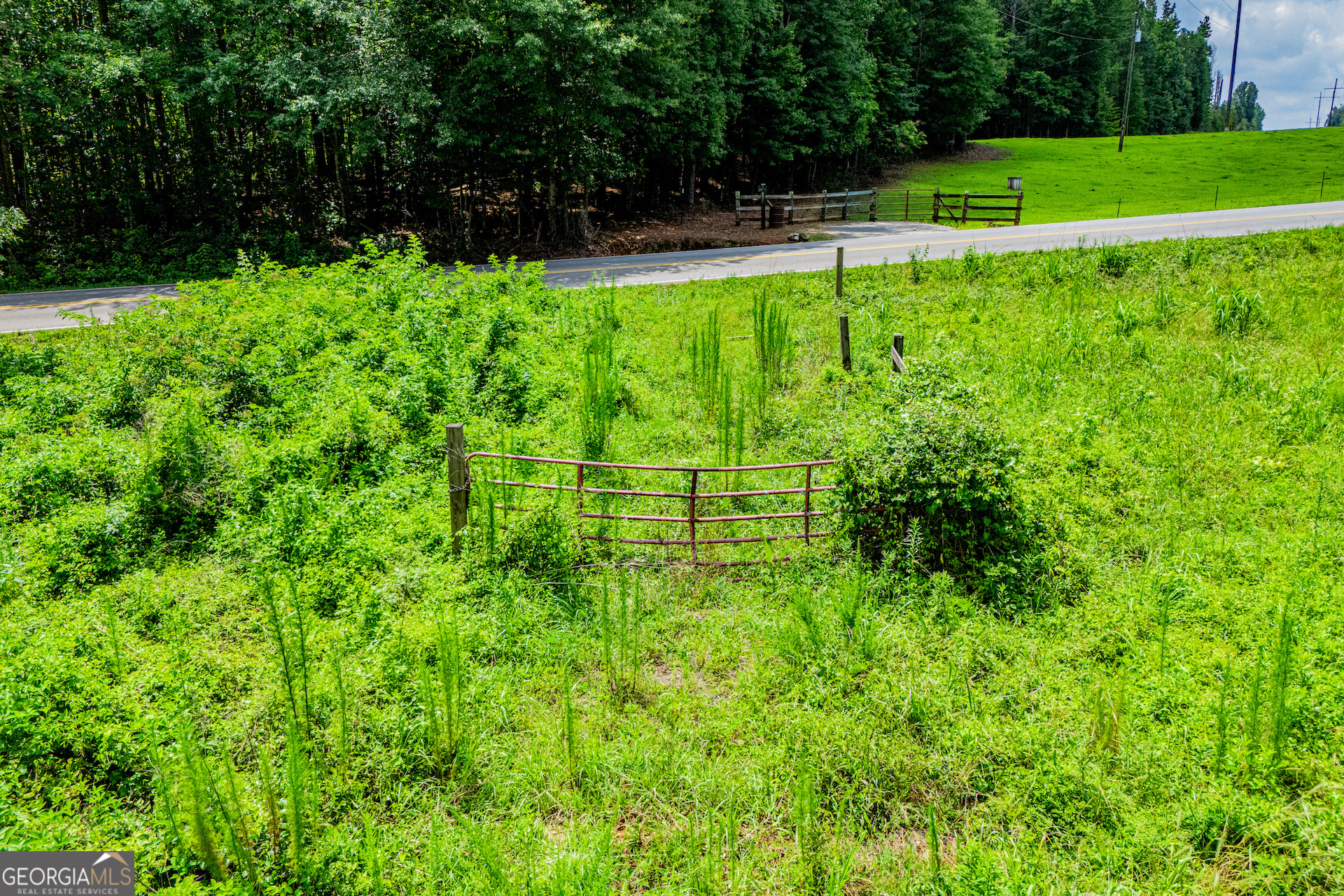 469 Lee Williams Road Carrollton, GA 30117 - Photo 14 of 20