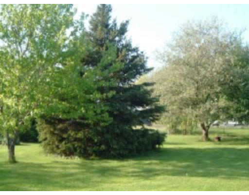 167 State Road Templeton, MA 01436 - Photo 6 of 7 a view of grassy field with trees