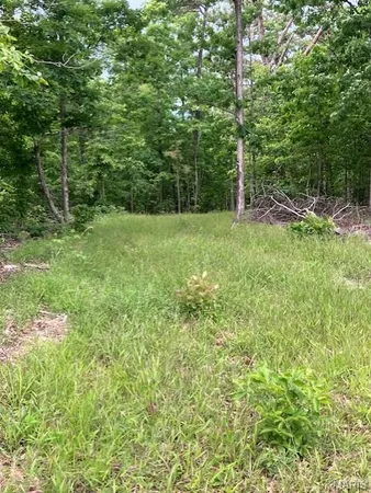 $38,995 | 238 Madison Street, Fredericktown, MO 63645