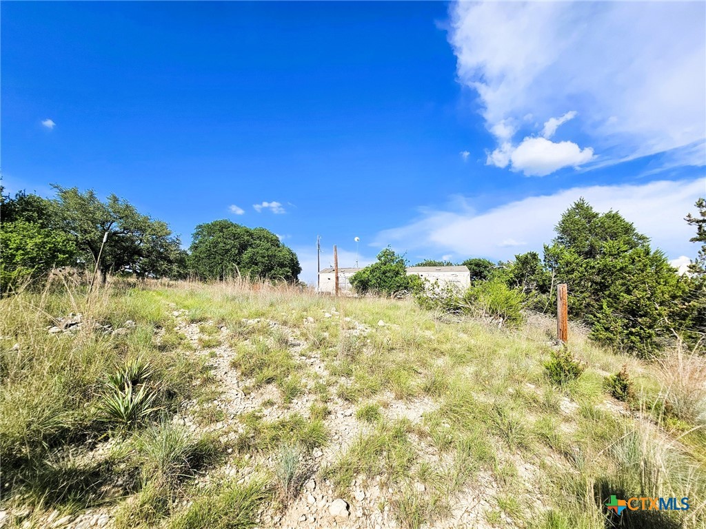 100 Reavis Drive Kempner, TX 76539 - Photo 23 of 33